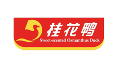 &#21315;&#20159;&#25163;&#26426;&#32593;&#39029;&#29256;&#30331;&#24405;&#20837;&#21475;&#45;&#21315;&#20159;&#40;&#20013;&#22269;&#41;